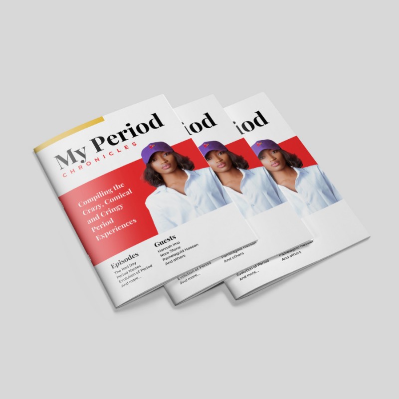 MY PERIOD CHRONICLES LOOK BOOK